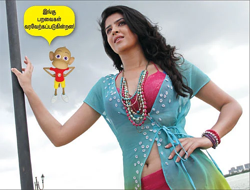 கோலிவுட் வேடந்தாங்கல்!