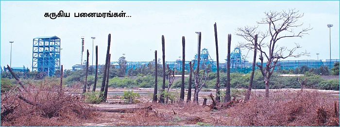 மிரள வைக்கும் எரிவாயு இறக்குமதி! - அதிர்ச்சியில் காரைக்கால்