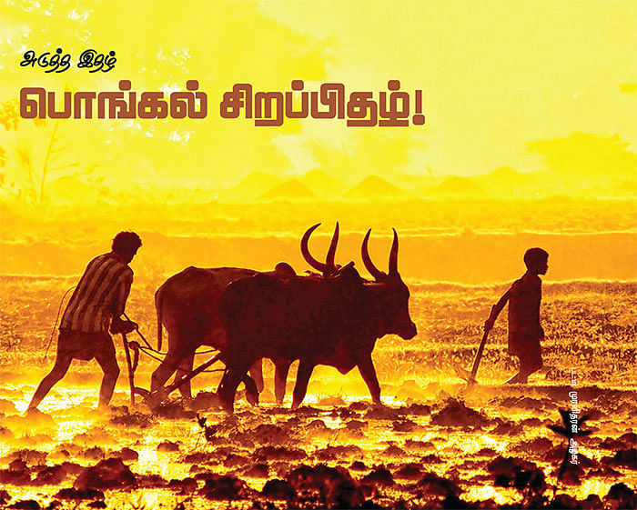அடுத்த இதழ் - பொங்கல் ஸ்பெஷல்