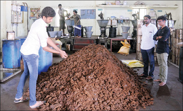 கொஞ்சம் ப்ளஸ்... நிறைய லாபம்! - இனிப்பான லாபம் தரும் வேப்ப மரம்! - 14