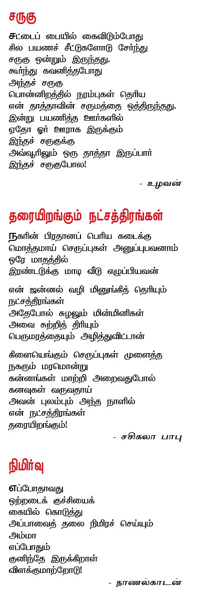 சொல்வனம்