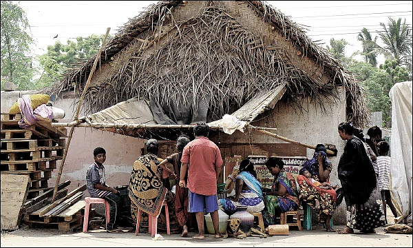 உப்புக்கண்டம் நெய்ச்சோறு - பாக்கியம் சங்கர்