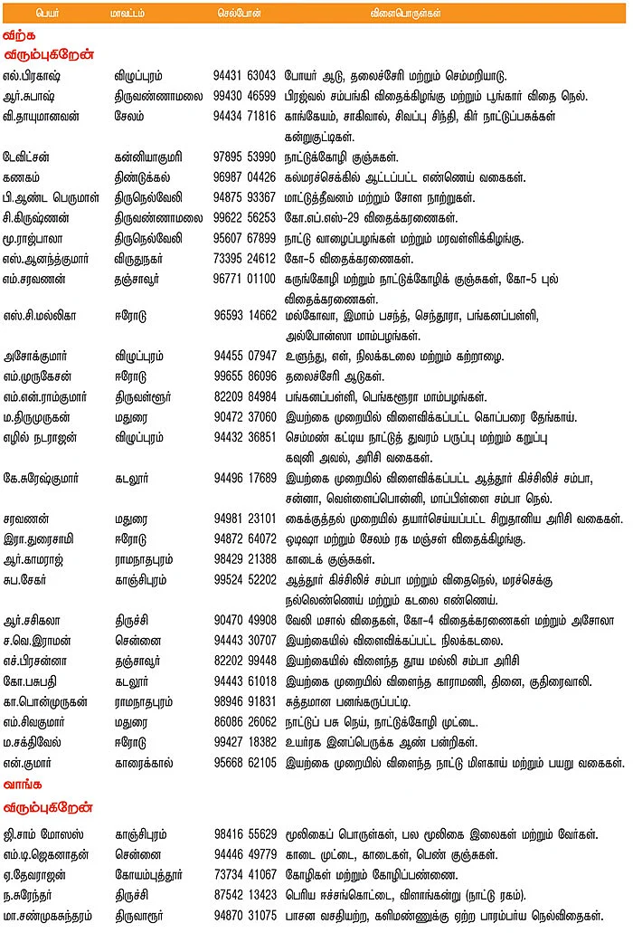 பசுமை சந்தை
