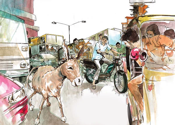 பெரியம்மை வாகனம்