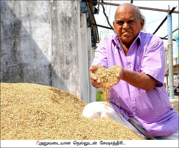 இரண்டு ஏக்கர்... 130 நாட்கள்... ரூ1 லட்சம் லாபம்! - இயற்கையில் இனிக்கும் நெல்!