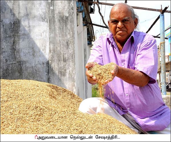 இரண்டு ஏக்கர்... 130 நாட்கள்... ரூ1 லட்சம் லாபம்! - இயற்கையில் இனிக்கும் நெல்!
