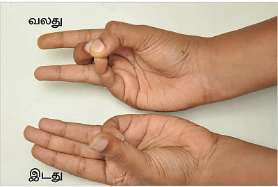 விரல்கள் செய்யும் விந்தை