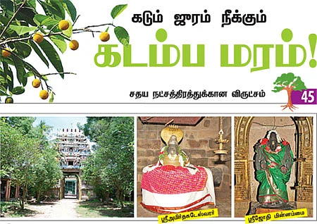ஆரோக்கியம் அருளும் ஆலய விருட்சங்கள்!
