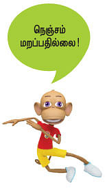 மூங்கில் மூச்சு! - 23
