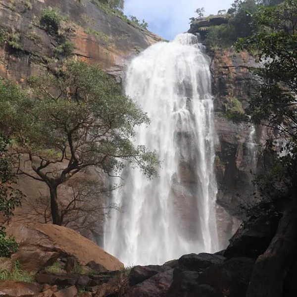 கொல்லி மலை ஆகாய கங்கை நீர்வீழ்ச்சி, சிற்றருவி, மாசில்லா அருவி.. தொடர் மழையால் ரம்மியமாய் கொட்டும் அழகு... படங்கள்: ராகேஷ் பெ