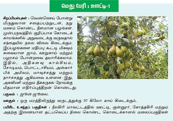 புதுசு...இது,புதுசு !