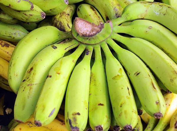 பூ, காய், கனி, தண்டு அத்தனையும் சத்து! வாழை ஸ்பெஷல்