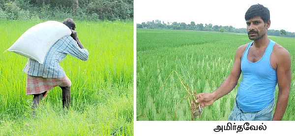 யூரியா தட்டுப்பாடு...