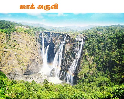 டூர் ஸ்பெஷல்