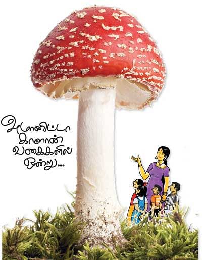 மாயா டீச்சரின் மந்திரக் கம்பளம் !