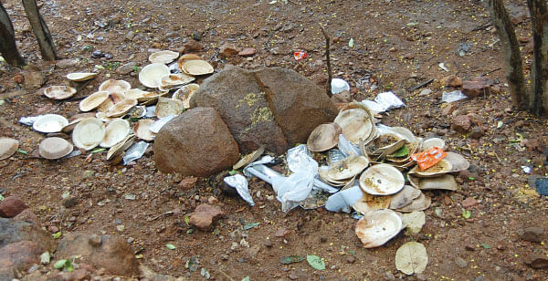 நாரதர் உலா