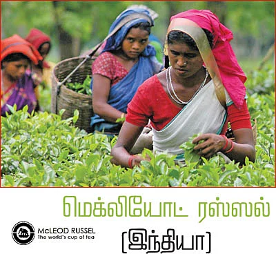 கம்பெனி அலசல்
