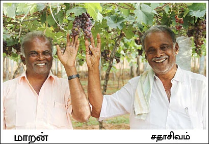 ஏக்கருக்கு... ரூ.4,50,000