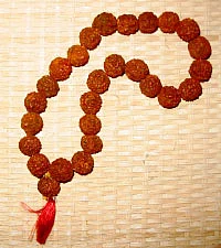 சக்தி சபா - உங்களுடன்... நீங்கள்!