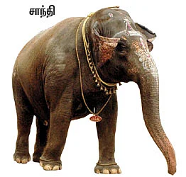 சிவாஜியின் இன்னொரு பாசமலர்!
