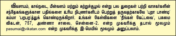 நீங்கள் கேட்டவை : மீன்களுக்கு அரிசிச் சோறு கொடுக்கலாமா?