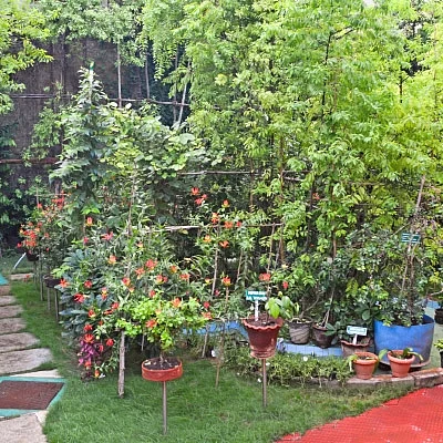 சித்திரிப்பு படம்