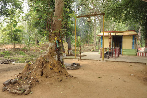 மழலை வரம் தரும் அச்வத்த ஸ்தோத்திரம்!