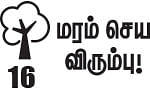 மரம் செய விரும்பு! - 16 - தேக்கைவிடக் கடினமான ஆச்சா மரம்!
