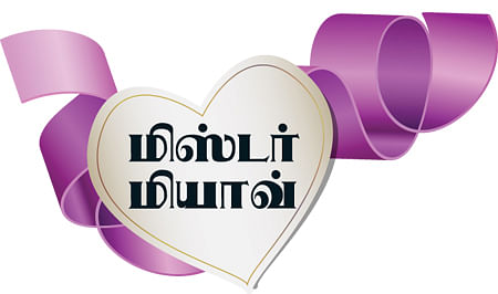 மிஸ்டர் மியாவ்