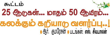 கலக்கும் கறியாடு வளர்ப்பு..!