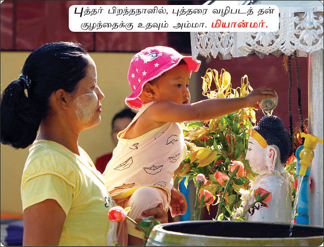 ஆல்பம்