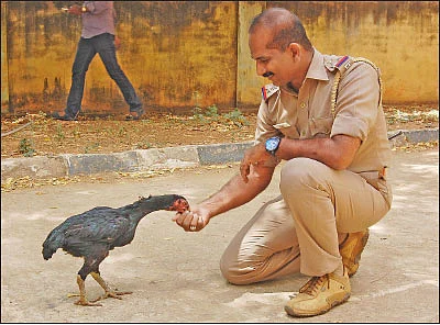 சாம்சன்...இன்ஸ்பெக்டர் ஆஃப் போலீஸ்... மக்களுக்கு மட்டுமல்ல, மரங்களுக்கும் !