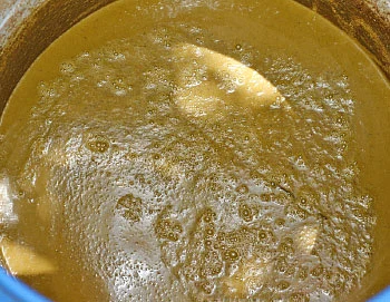 பஞ்சகவ்யா - 13