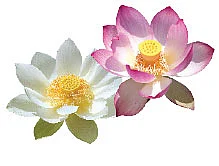 ‘சொந்த வீடு’ யோகம் உண்டா?