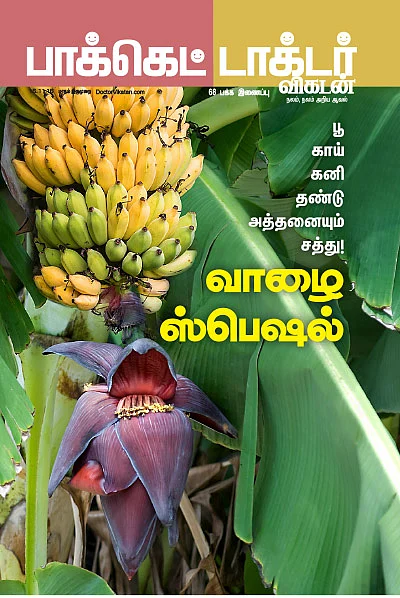 பூ, காய், கனி, தண்டு அத்தனையும் சத்து! வாழை ஸ்பெஷல்