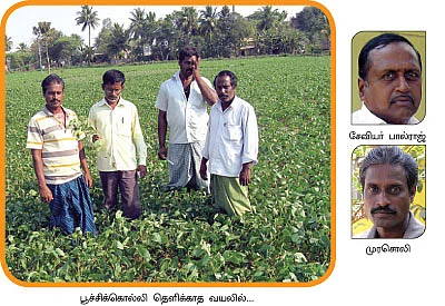 ''சோயா சாகுபடி... பயம் தேவையில்லை!''