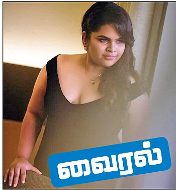 மிஸ்டர் மியாவ்