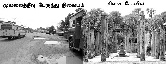 புலித்தடம் தேடி...
