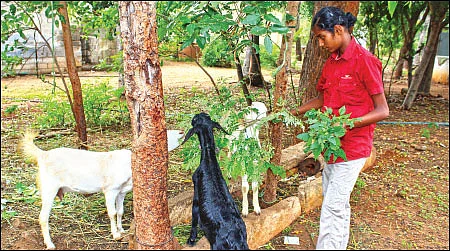“இயற்கையோடு இணைந்தால் விடியலும் இனிமை!”
