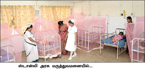 துடிக்க வைக்கும் டெங்கு!