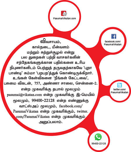 நீங்கள் கேட்டவை: கால்நடைத் தீவனமாகும்... வேலிக்காத்தான்...!