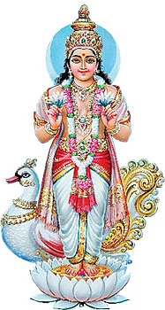 வரம் கொடுக்கும் வழிபாடுகள்!
