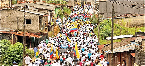 விளையும் விலையும்! - சந்தைக்கு வழிகாட்டும் தொடர் - 10