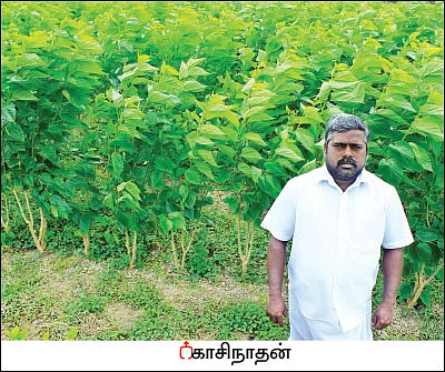 மானியங்களை அள்ளிக் கொடுக்கும் பட்டுவளர்ச்சித் துறை!