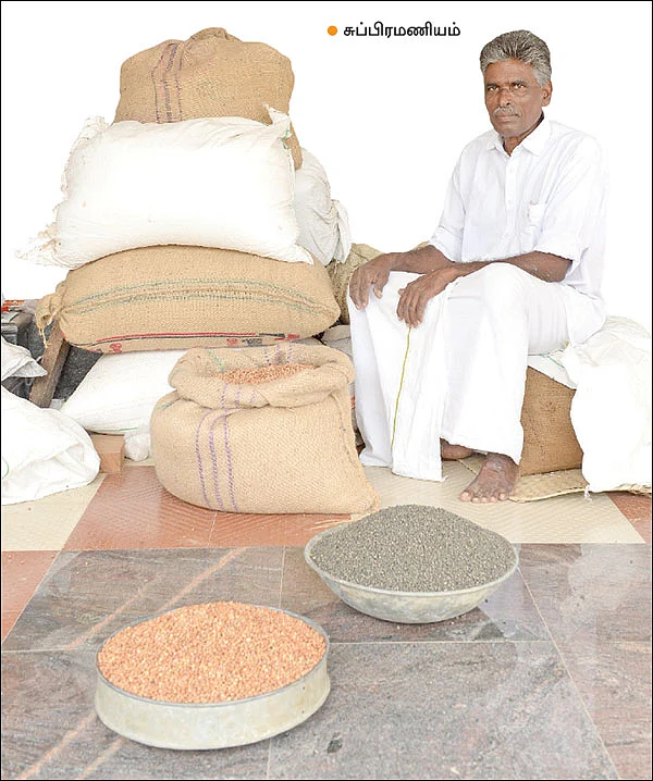 நல்ல லாபம் தரும் நாட்டு ரகத் தட்டைப்பயறு... பாரம்பர்ய முறையில் விதை உற்பத்தி!