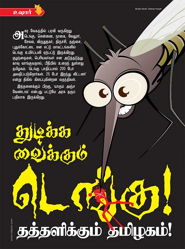 துடிக்க வைக்கும் டெங்கு!