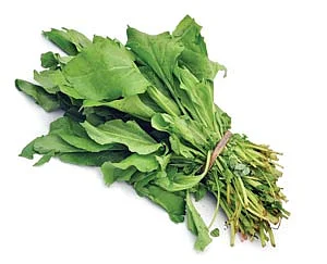 எந்தக் கீரையில் என்ன சத்து?
