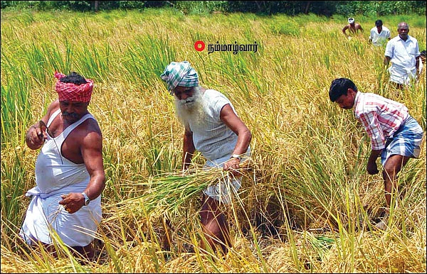 இயற்கையைப் போற்றும் வேளாண் கண்காட்சி!