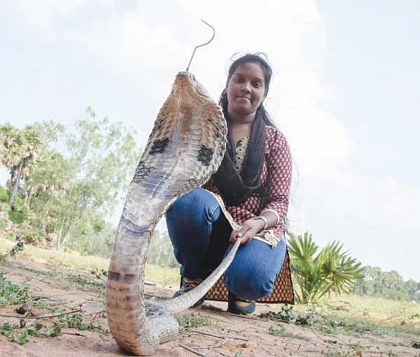 ‘ஸ்னேக்’ சந்தியா!
