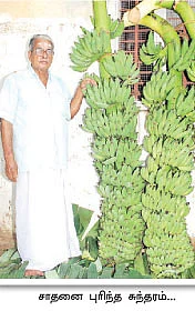 8 சென்டில் 50 ஆயிரம்...